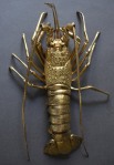 Top View of Lobster
